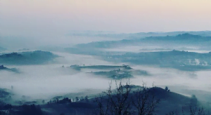Mist in Barolo