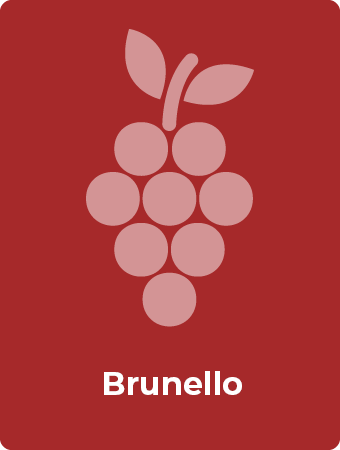 Brunello druif