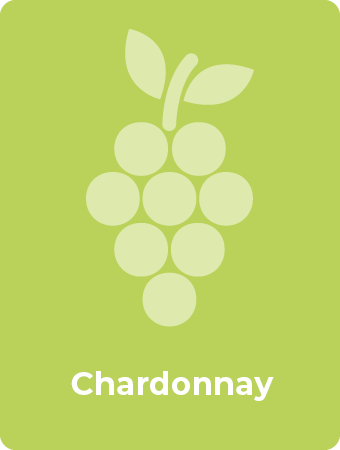 Chardonnay druif