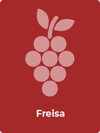 Freisa druif
