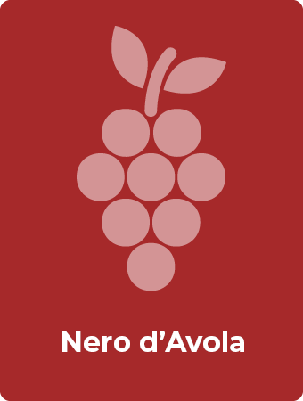 Nero d'Avola druif