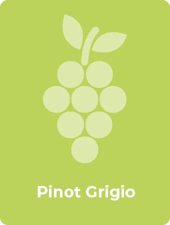 Pinot Grigio druif