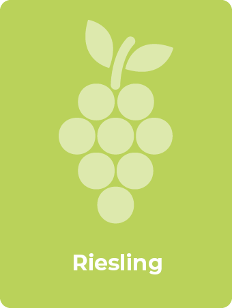 Riesling druif