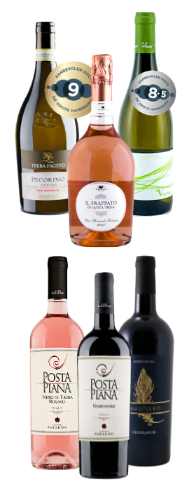 Proefpakket 6 Italiaanse wijnen rood - wit - rosé